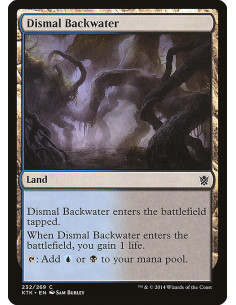 Dismal Backwater - Foil