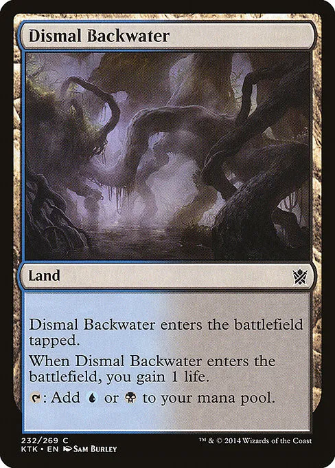 Dismal Backwater - Foil