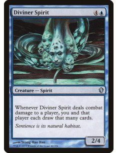 Diviner Spirit