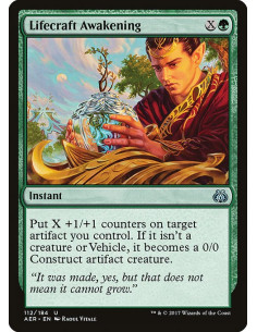 Lifecraft Awakening
