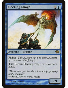 Fleeting Image - Foil