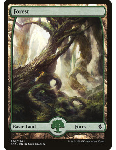 Forest - Foil