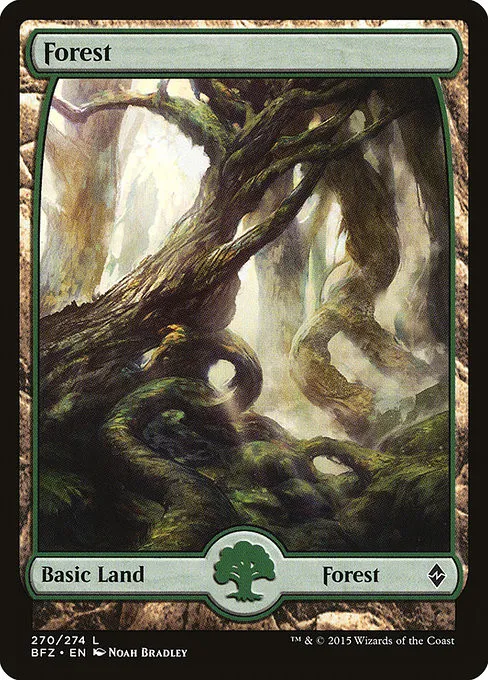 Forest - Foil