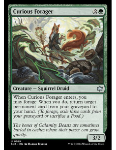 Curious Forager - Foil