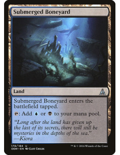 Submerged Boneyard - Foil