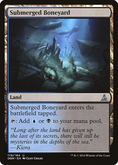 Submerged Boneyard - Foil