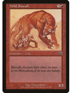 Wild Jhovall - Foil
