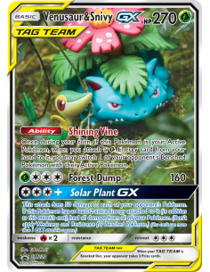Venusaur & Snivy-GX