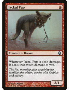 Jackal Pup - Foil