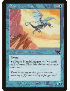 Drake Hatchling - Foil