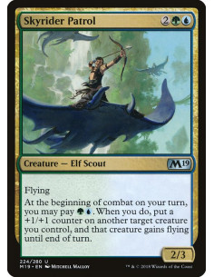 Skyrider Patrol