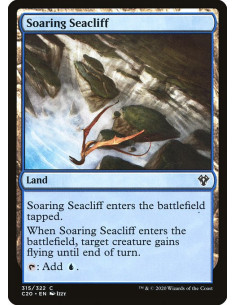 Soaring Seacliff