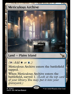 Meticulous Archive