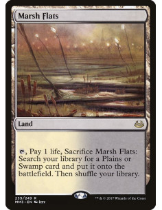 Marsh Flats