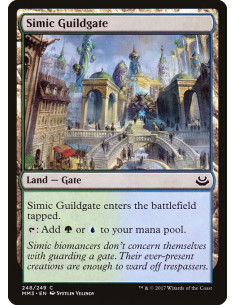 Simic Guildgate - Foil