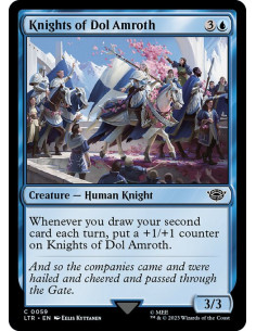 Knights of Dol Amroth
