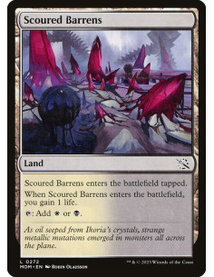 Scoured Barrens