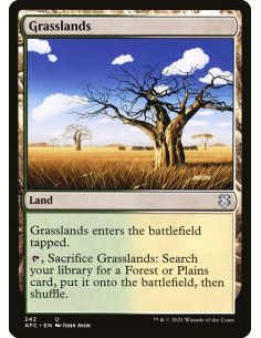 Grasslands