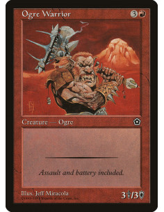 Ogre Warrior