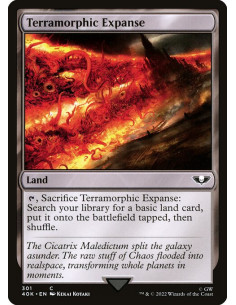 Terramorphic Expanse