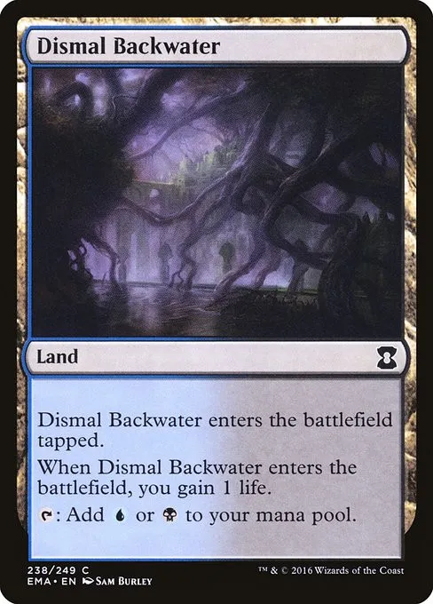 Dismal Backwater - Foil