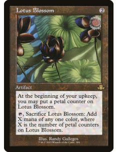 Lotus Blossom