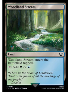 Woodland Stream