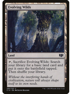 Evolving Wilds
