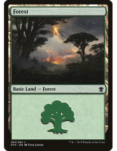 Forest