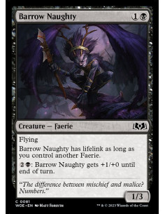 Barrow Naughty - Foil