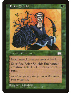 Briar Shield
