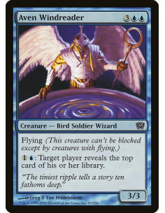 Aven Windreader - Foil