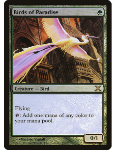 Birds of Paradise - Foil