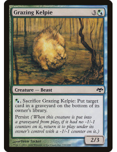 Grazing Kelpie - Foil