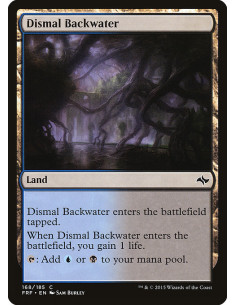 Dismal Backwater - Foil