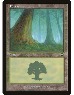Forest - Foil