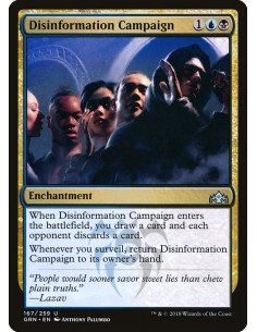 Disinformation Campaign