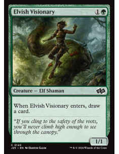 Elvish Visionary