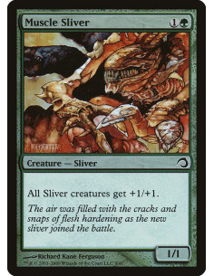 Muscle Sliver - Foil