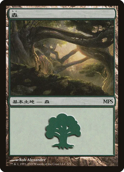Forest - Foil
