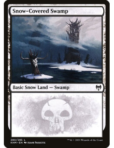 Snow-Covered Swamp