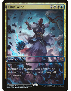 Time Wipe - Foil