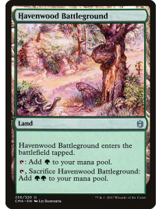 Havenwood Battleground