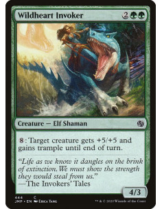 Wildheart Invoker
