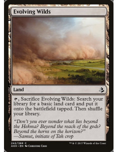Evolving Wilds - Foil