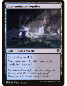 Contaminated Aquifer - Foil