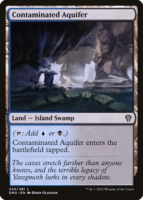 Contaminated Aquifer - Foil