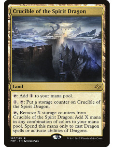 Crucible of the Spirit Dragon