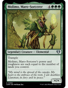 Molimo, Maro-Sorcerer