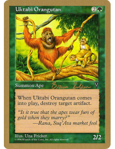 Uktabi Orangutan